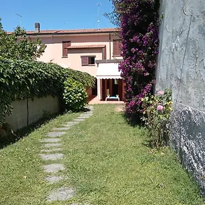Rosa Carrara